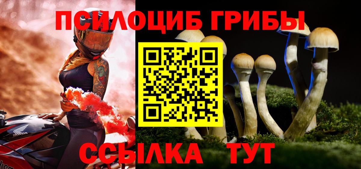 Псилоцибиновые грибы GOLDEN TEACHER  Галлюциногенные грибы прущие грибы  Полевской  Вход с VPN 